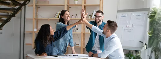Colegas de trabajo celebran el éxito de un proyecto